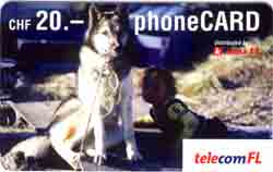 Carte Telecom FL FL30 - face